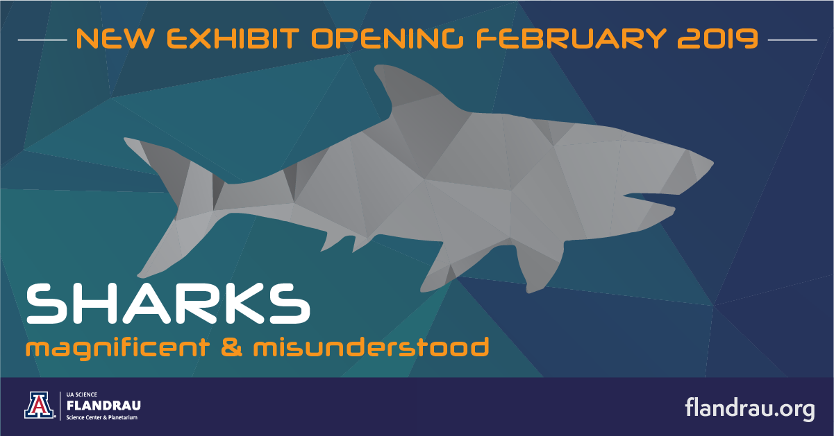 Flandrau shark exhibit (sponsored)